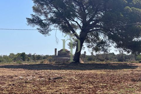 Ruïna a Carovigno, Brindisi, Carovigno - € 225.000 | Ref: Casolare e Trul - foto 26